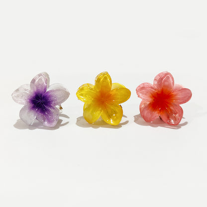 🌸 Flower Hair Claw Clips – Set of 1 , 3 & 5 - HRK250039